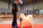 Meilleur Vétéran Nantes 2018